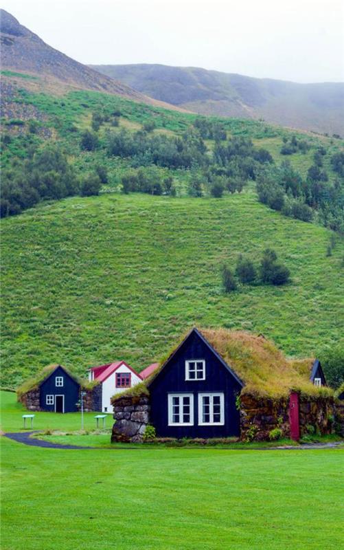 žalias stogas-žalia veja ir žali stogai