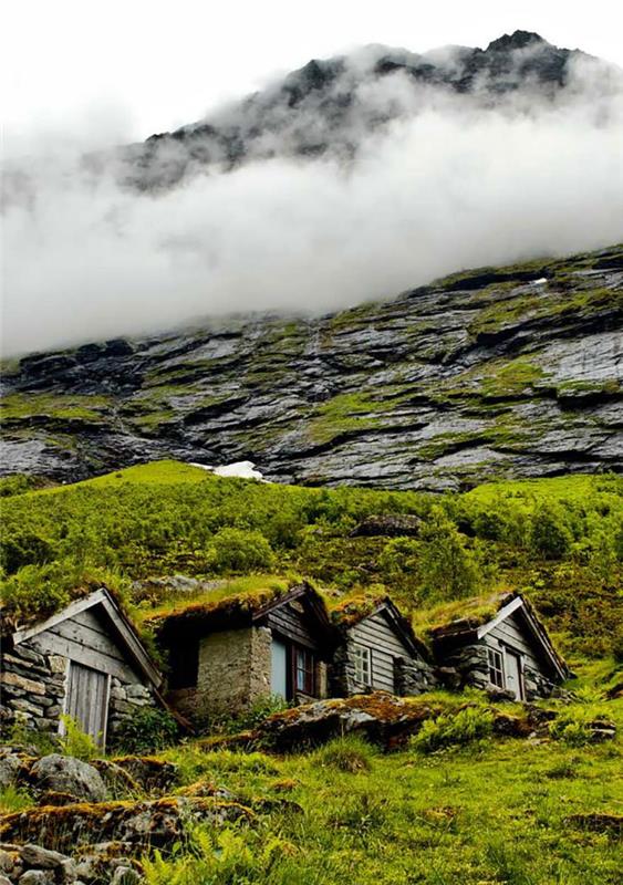 žalias stogas ant tradicinių skandinaviškų namų