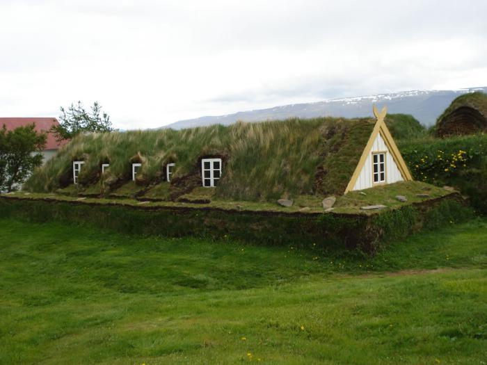 žalias stogas-velėna-tradicinė architektūra