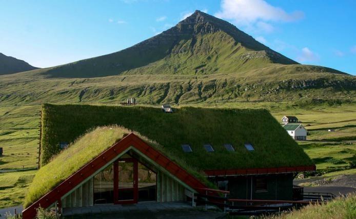 žalias stogas-apsilankymas-ūkiuose-islandijoje