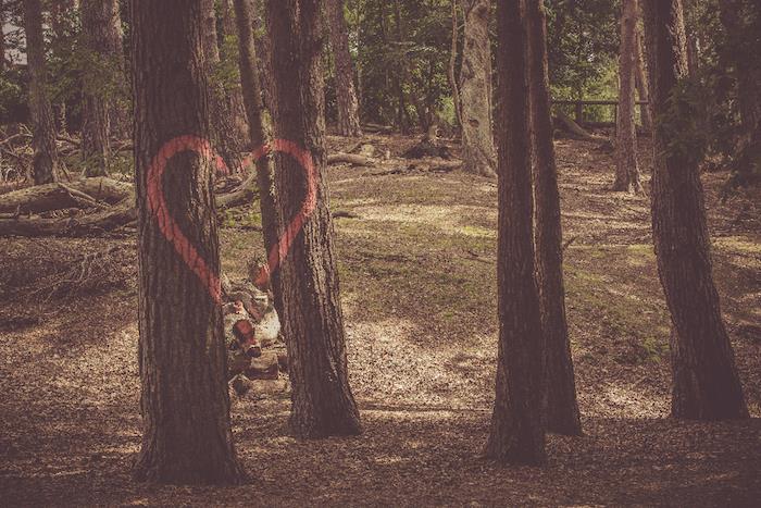 uzun ağaçlar, orman manzarası, kırmızı kalp çizimi, tumblr ekran koruyucular
