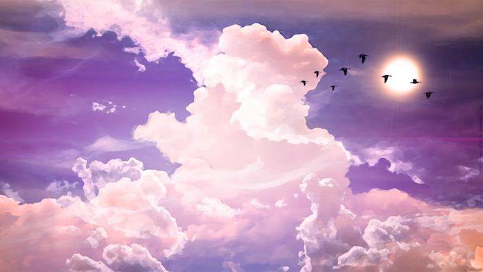 tumblr duvar kağıdı, uçan kuşlar, pembe bulutlar, mor gökyüzü