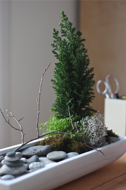 mini zelena rastlina za japonsko pisarniško miniaturno zen vrtno dekoracijo