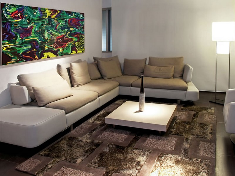 Kampinė sofa gyvenamojo kambario nuotraukoje