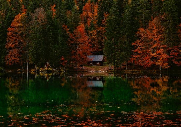 koča v gozdu, jezero z odpadlim listjem, koča ob jezeru, drevesa namočena v rdečo barvo