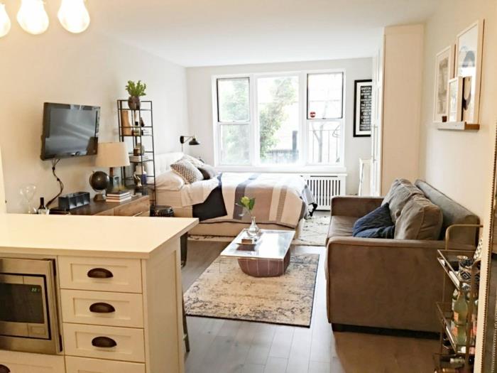 Razporeditev apartmaja z zakonsko posteljo v sivi zofi, dekor majhnega dobro opremljenega stanovanja