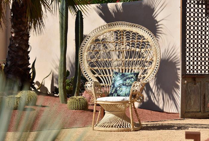 ekstravagantiškos formos rotango fotelis sode su kaktusais