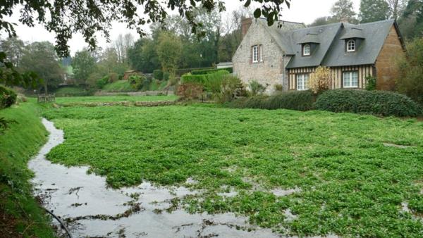 a-house-in-pierre-Veules-les-Roses-garden-river