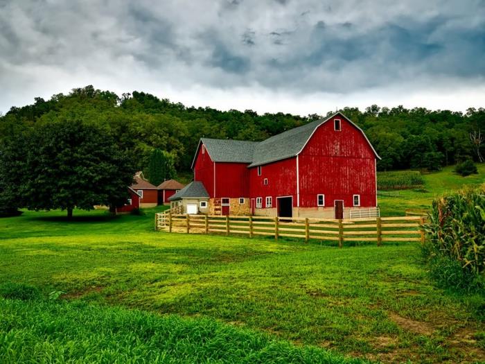 dangiška vieta, raudonas namas žaliame lauke, apsuptas žalių medžių, pilkų debesų dangus, idiliška atmosfera