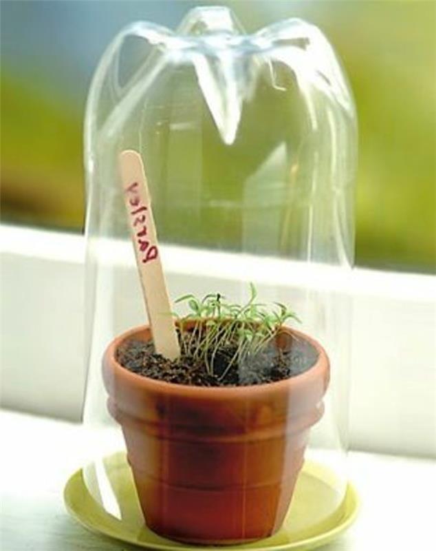 majhna-plastična-rastlinjak-naredi-sama-ideja-za-recikliranje-plastenka iz plastike