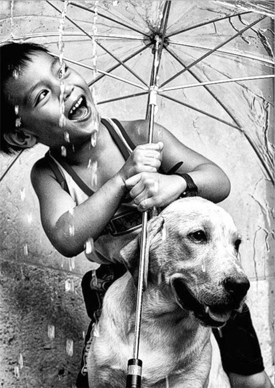 a-komik-siyah-beyaz-çocuk-ve-köpek-şemsiye-fotoğraf