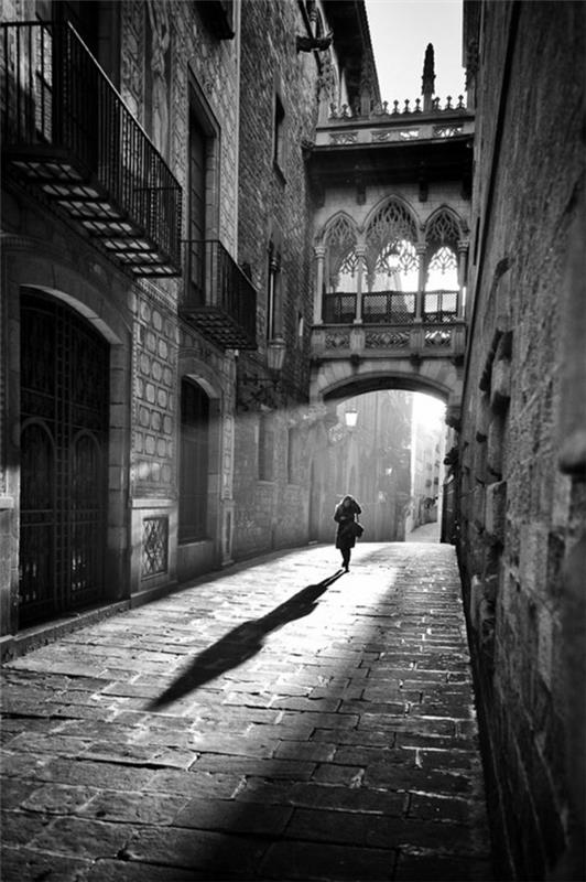 bir-sanatsal-siyah-beyaz-fotoğrafçılık-la-venezia-Venise-pont-femme-sylhouette