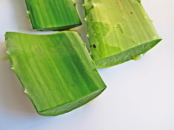 cilt çıkarma jeli için aloe vera kullanın yeşil yaprak tıbbi bitki ev