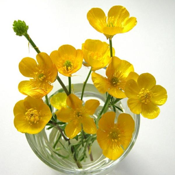 sarı-çiçek-top-vazo