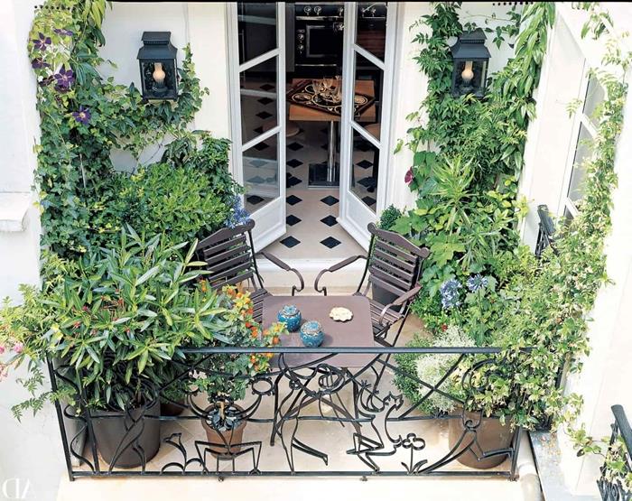 vegetacija mali urbani vrtna dekoracija balkon kovano pohištvo namizni stoli balkonski pogled vetrič listje plezalne rastline rastlina zasebnost zaslon