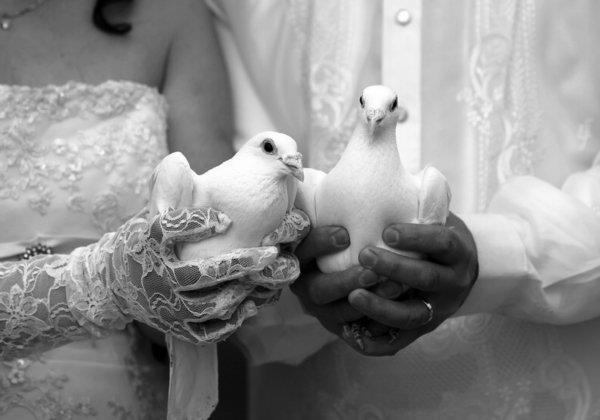 eski-düğün-kuşlar-beyaz-siyah-beyaz-fotoğraf-fikri