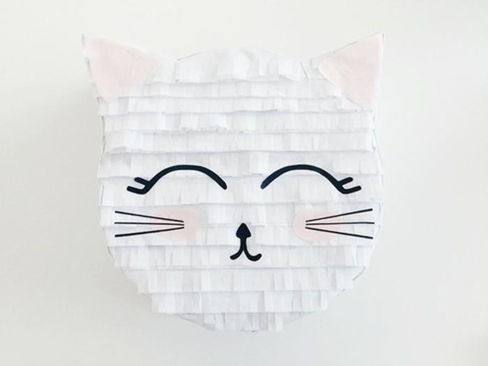 İşte-karton-kedi-yüz-bir-fikir-nasıl yapılır-ilginç-yeniden boyutlandırılmış-pinata