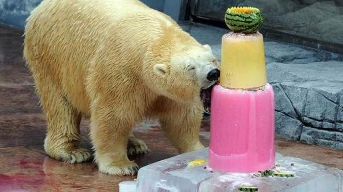 Original rojstnodnevna torta za medveda