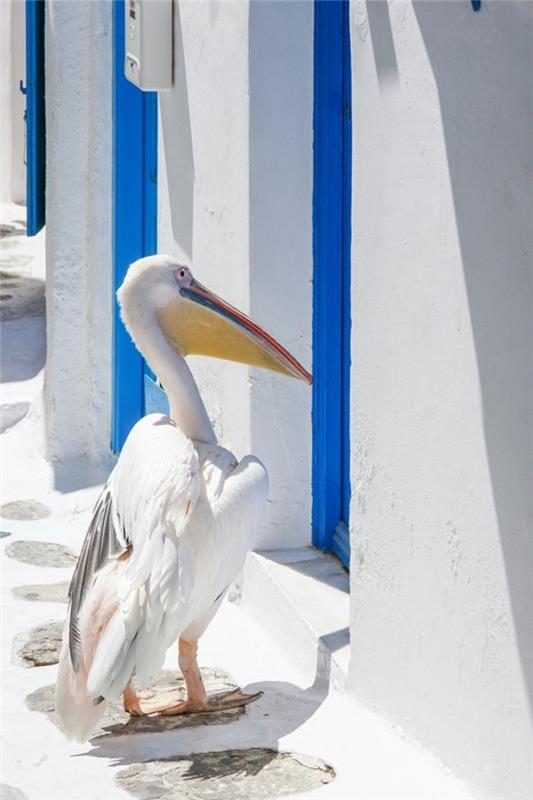 seyahat-mykonos-her şey dahil-avrupa-en-top-yerler-harika-idee-pelikan