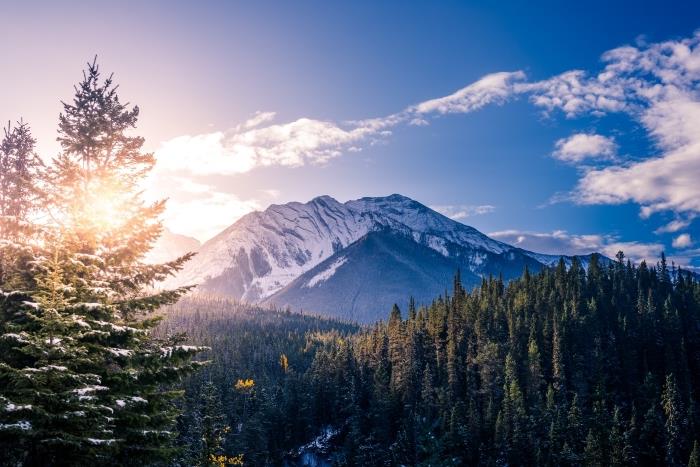 snieguotų kalnų nuotrauka, nemokami tapetai su spygliuočių medžių mišku ir snieguota kalva saulėtekio metu