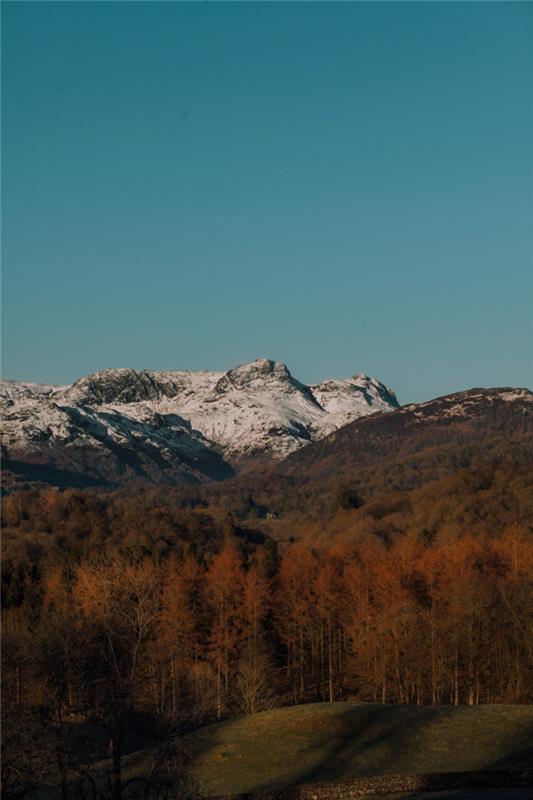 gora, nebo, jelke pozno poleti, zasneženi vrhovi, ozadje za računalnik brezplačno