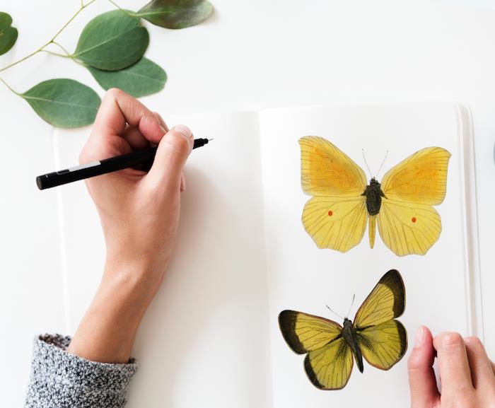 Donna che dissgna, disegno di farfalle, foglie di colore verde