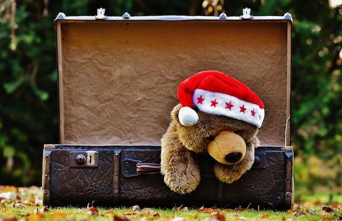 idėja nemokamai Kalėdų vaizdai, meškiukas su raudona ir balta Kalėdų Senelio skrybėle, išeinantis iš odinės bagažinės