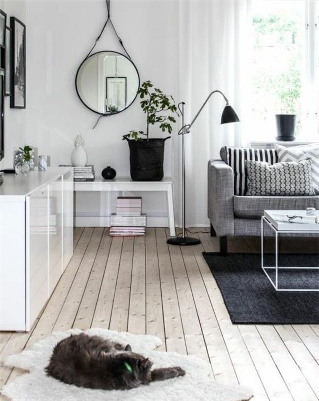 katė miega ant balto kilimo, gražios svetainės, pilka sofa, balto metalo kavos staliukas, medinės grindys