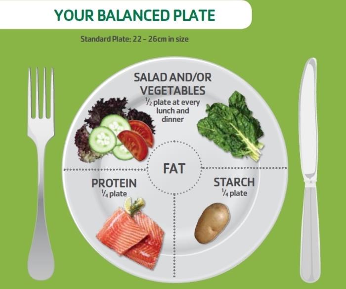 vaš uravnotežen krožnik, razmerje beljakovinskega škroba in solate, kako jesti zdravo, načrt zdrave prehrane